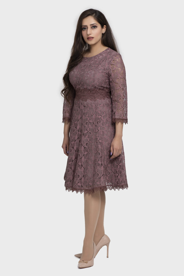 Grace Lace Flare Dress - Image 3