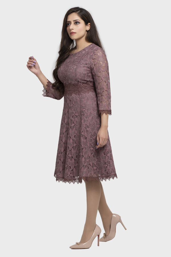 Grace Lace Flare Dress - Image 4