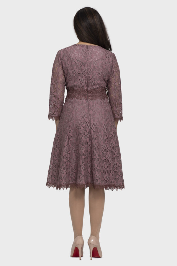 Grace Lace Flare Dress - Image 6